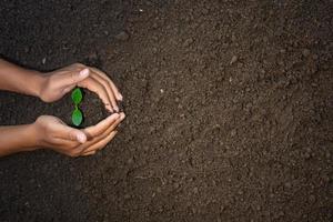 dos manos abarcando cuidado para planta semillas foto