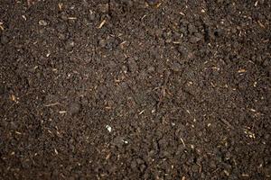 Fertile soil texture for background photo