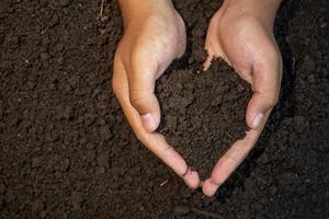 Two hand holding soil for copy space and background photo