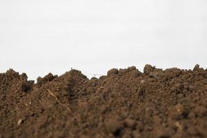 stack fertile soil ready for planting photo