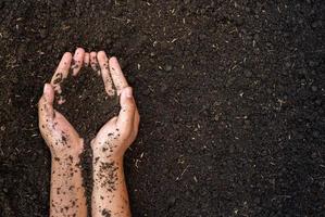 two hands holding and lifting fertile soil photo