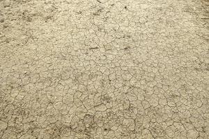 seco tierra en un sequía foto