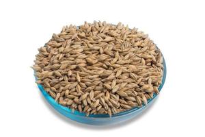 pilsen malt grain in clear bowl in white background photo