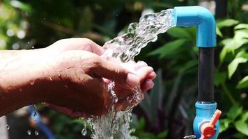 zuiver water gieten in mannetje handen. water druppels, water bronnen, aarde, omgeving. behoud van natuurlijk bronnen. video