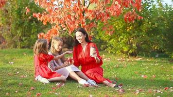 poco ragazza con mamma all'aperto nel parco a autunno giorno video