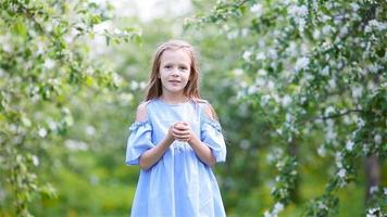 adorable niñita en un floreciente jardín de manzanas en un hermoso día de primavera video