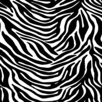 Illustration zebra texture, zebra skin. photo