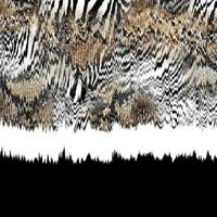 Mixed animal print, wind effect animal texture, zebra, tiger, leopard skin. photo