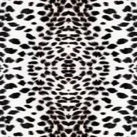 Seamless leopard pattern, leopard texture, animal skin. photo