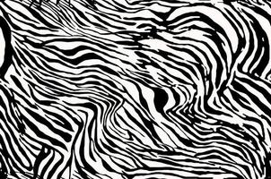 Illustration zebra texture, zebra skin. photo