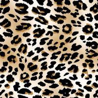 Seamless leopard pattern, leopard texture, animal skin. photo