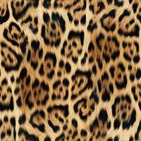 Seamless leopard pattern, leopard texture, animal skin. photo