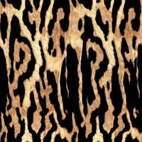 Seamless leopard pattern, leopard texture, animal skin. photo