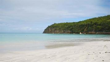 praia tropical idílica com areia branca, água azul-turquesa e céu azul video