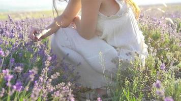 mujer en el campo de flores de lavanda al atardecer con vestido blanco y sombrero video