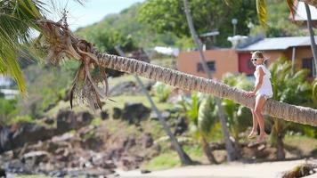 Adorable little girl sitting on palm tree during summer vacation on white beach video