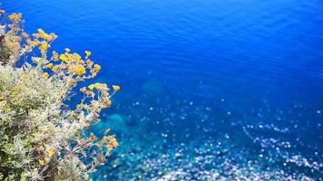 mooi kustlijn Bij cinque terrein, ligurië, Italië. transparant turkoois Doorzichtig water video