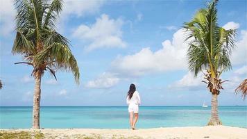 jung Frau auf das Strand während Karibik Urlaub. bezaubernd Dame Stehen zwischen Palme Bäume auf Antigua Insel video