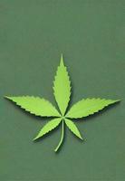Green marijuana leaf in nature pattern design photo