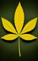 Green marijuana leaf in nature pattern design photo