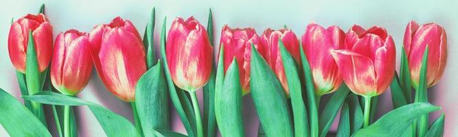 Pink fresh flowers tulips background with copy space. Romantic composition. Flat lay, top view. photo