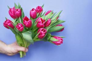 mans mano participación ramo de flores de Fresco flores tulipanes en púrpura azul antecedentes. foto