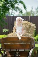 Charming little girl sitting on a carriage photo