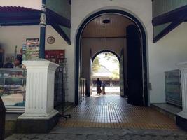 view of historic buildings in the park photo