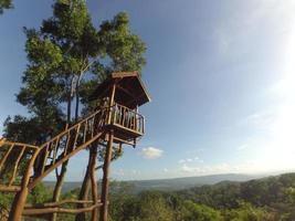 playground in the forest photo