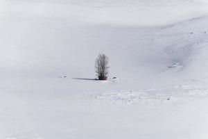 View of winter snow landscapes in the mountains with a small tree in the middle. Abstracts and backgrounds. Textures. photo