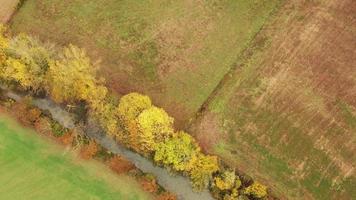 aérien vue dans l'automne scène dans nacedero de urederra. video