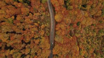 Aerial view of a winding road in the mountains in autumn season video