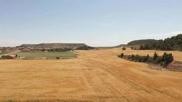 landschap van gouden tarwe velden in antenne visie in Spanje video