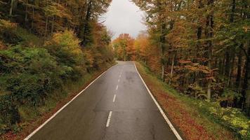 Aerial view of a winding road in the mountains in autumn season video
