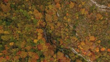 Aerial view in Autumn scene in Nacedero de Urederra. video