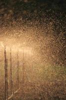 The sprinkling of the sprinkler and the sunlight in the evening as the sun goes down creates a beautiful splash of water, a warm and romantic atmosphere. photo