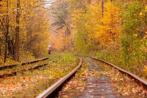 autumn forest among which goes a strange tram photo
