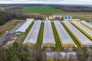 vista aérea de hileras de granjas agrícolas con silos y complejo ganadero agroindustrial foto