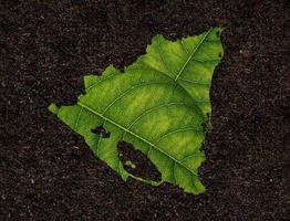 Nicaragua map made of green leaves on soil background ecology concept photo