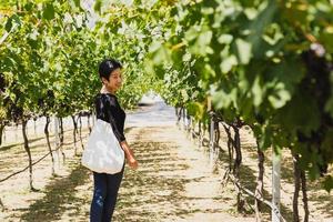 Asian woman traveling Asian standing in beautiful Vineyard. photo