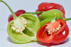 chilli pepper in the white backgound with macro and close up view photo