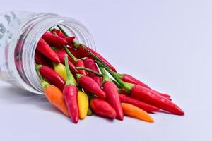 chilli pepper in the white backgound with macro and close up view photo