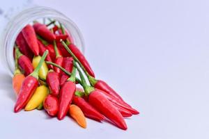 chilli pepper in the white backgound with macro and close up view photo