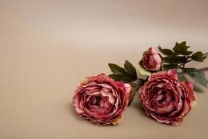 artificial flowers on a beige background, obituary background photo