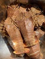 Flathead lobster, thenus orientalis, oriental flathead lobster, theninae, lobster moreton, thenus,  is a very delicious seafood. can be found in fish markets in tropical countries photo