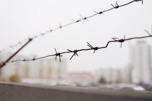 barbed wire on the fence photo