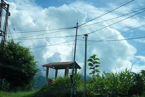 hermosa escénico belleza de norte Bengala la carretera y naturaleza 11 foto