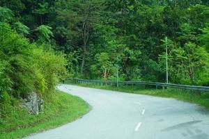 hermosa escénico belleza de norte Bengala la carretera y naturaleza 4 4 foto