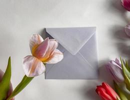 card with flowers. gift envelop with green leaves and tulips. macro tulip photo