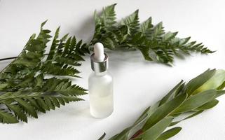 spa still life. dropper with anti-aging liquid. Skincare. Dropper on the background of tropical leaves photo